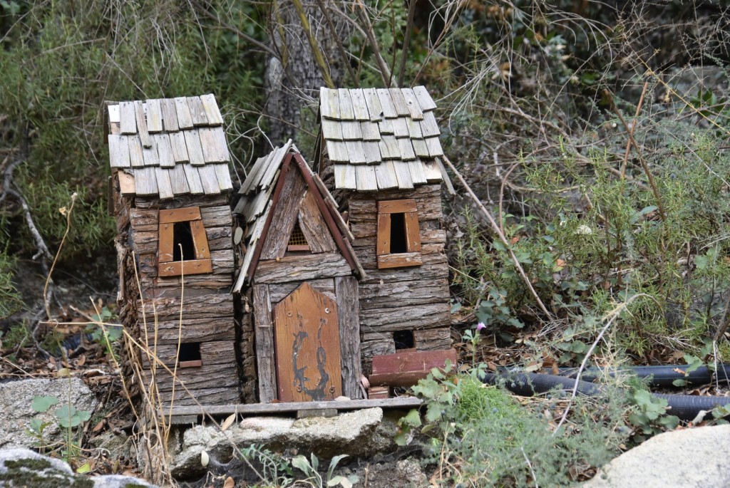 Foto: El bosque encantado - San Martín de Valdeiglesias (Madrid), España