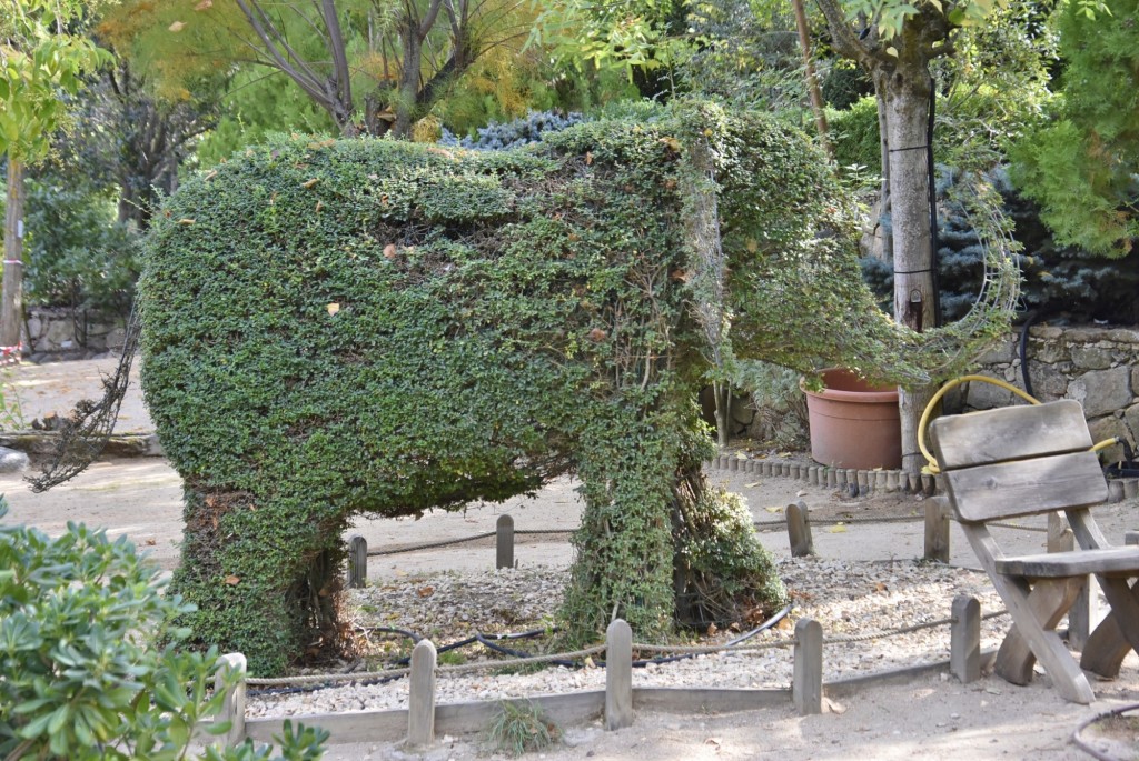 Foto: El bosque encantado - San Martín de Valdeiglesias (Madrid), España