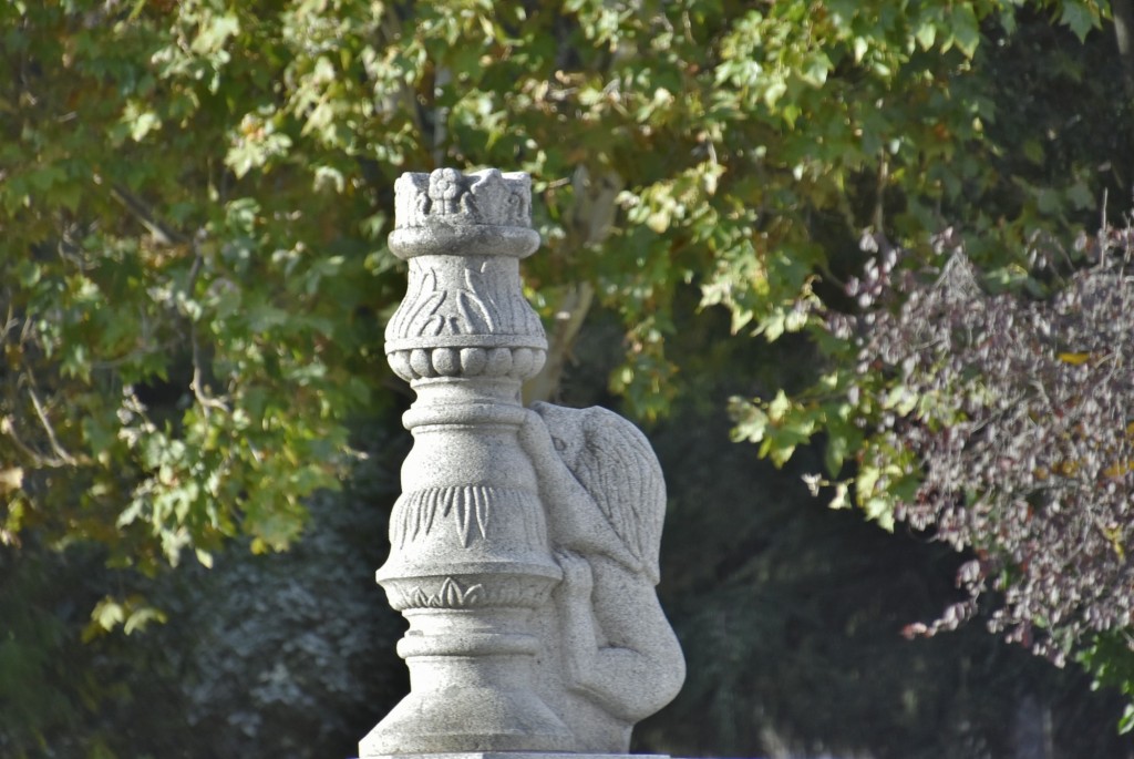 Foto: Detalle - Ávila (Castilla y León), España