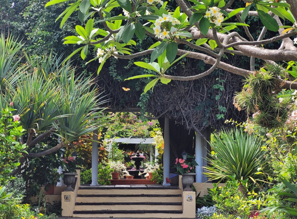 Foto: Jardín Sitio Litre - Puerto de la Cruz (Santa Cruz de Tenerife), España