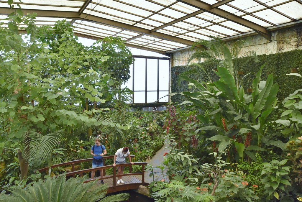 Foto: Mariposario - Icod de los Vinos (Santa Cruz de Tenerife), España