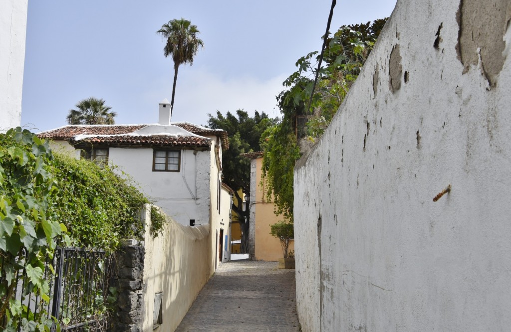 Foto: Centro histórico - Icod de los Vinos (Santa Cruz de Tenerife), España