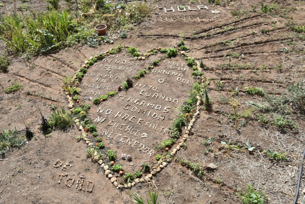 Foto: Saludos - Agulo (La Gomera) (Santa Cruz de Tenerife), España