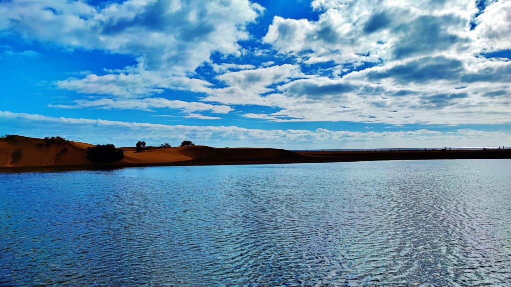 Foto: Charca de Maspalomas - Maspalomas (Las Palmas), España