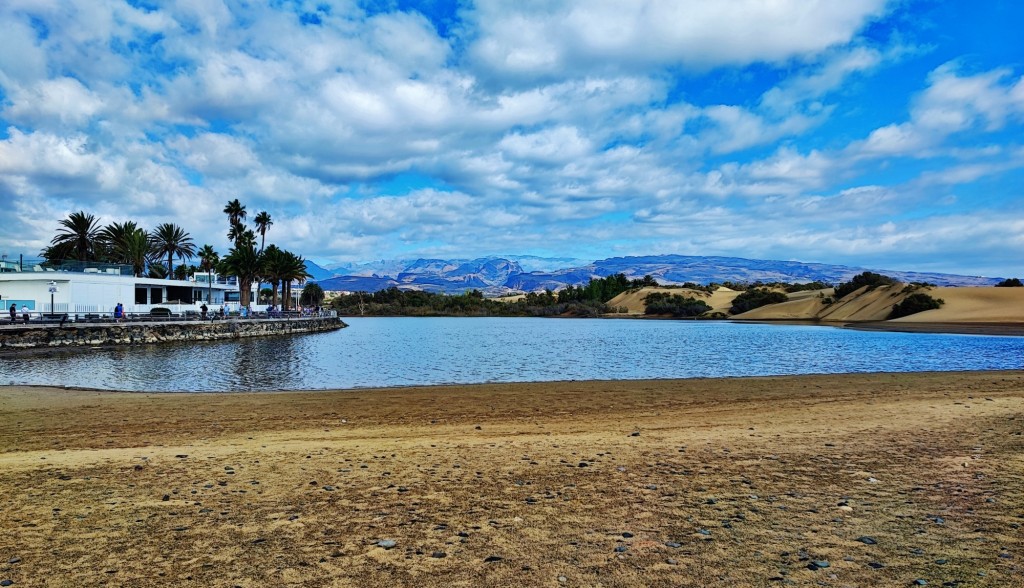 Foto: Charca de Maspalomas - Maspalomas (Las Palmas), España