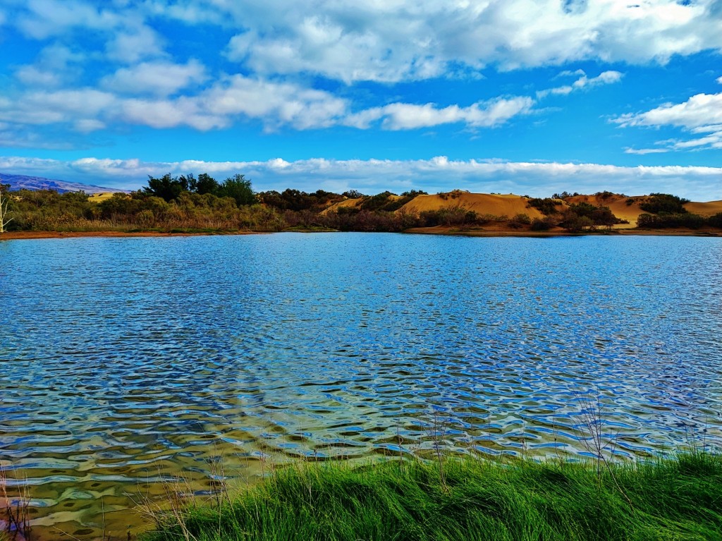 Foto: Charca de Maspalomas - Maspalomas (Las Palmas), España