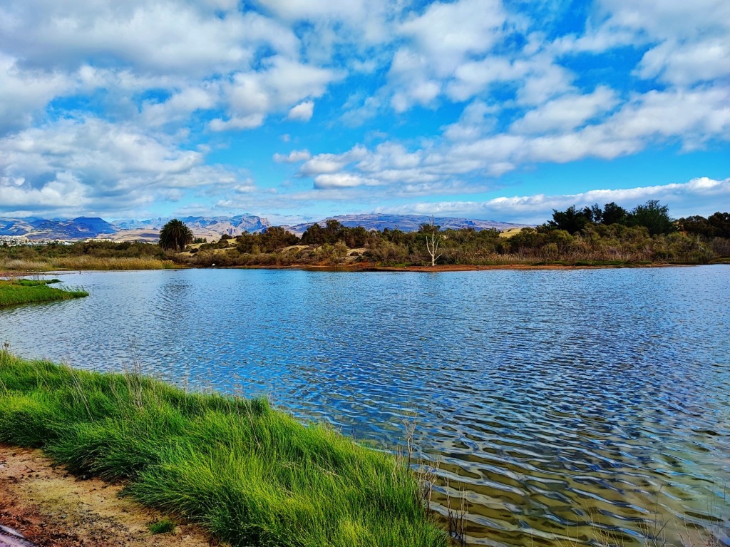 Foto: Charca de Maspalomas - Maspalomas (Las Palmas), España