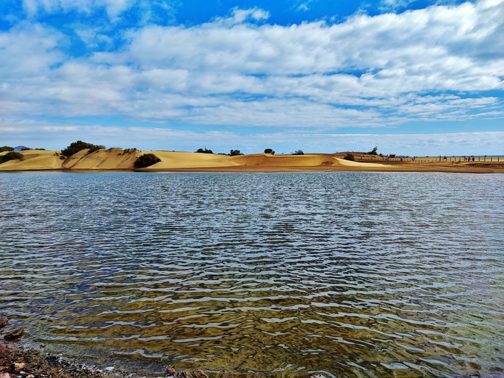 Foto: Charca de Maspalomas - Maspalomas (Las Palmas), España