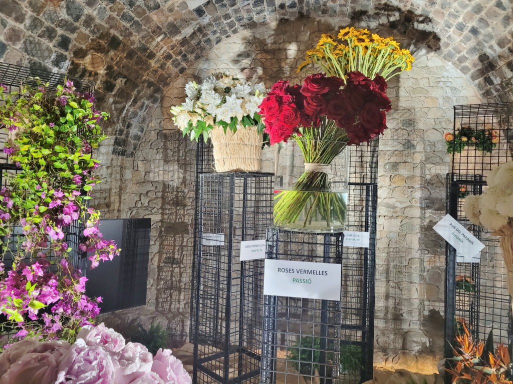 Foto: Tiempo de flores 2023 - Girona (Cataluña), España