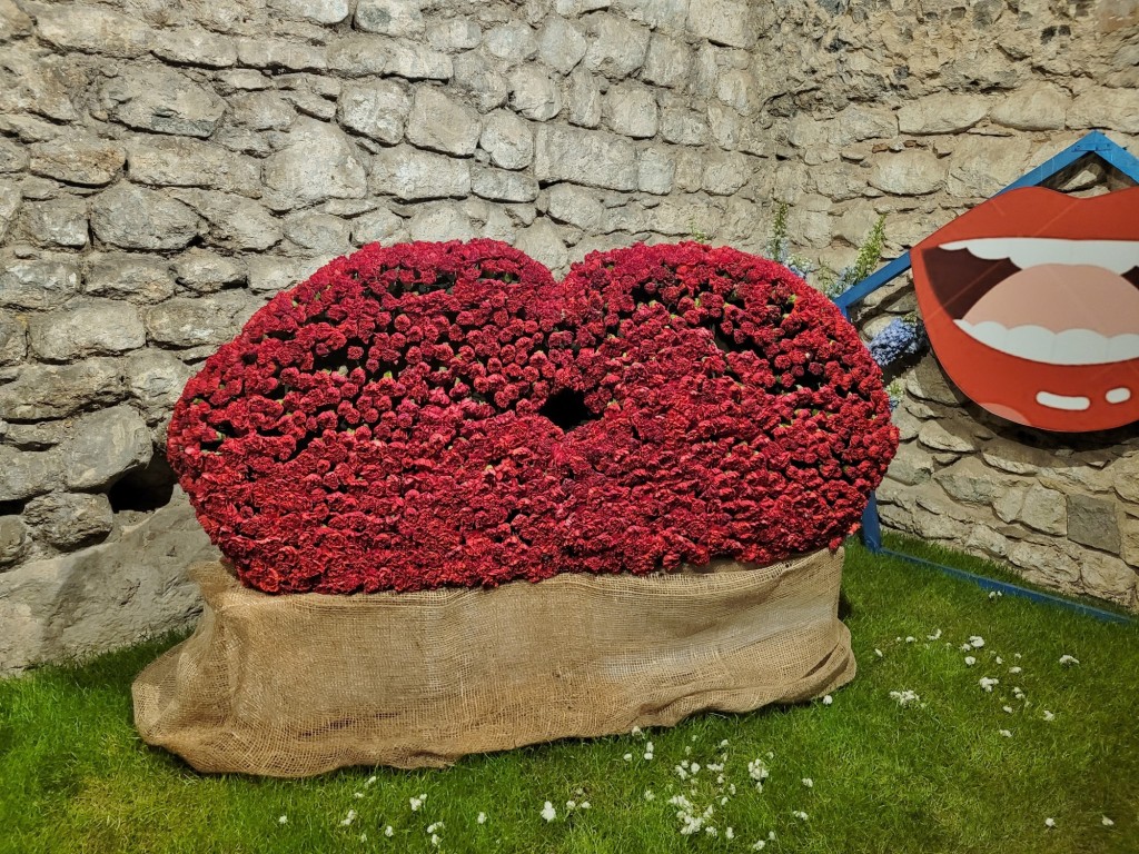 Foto: Tiempo de flores 2023 - Girona (Cataluña), España