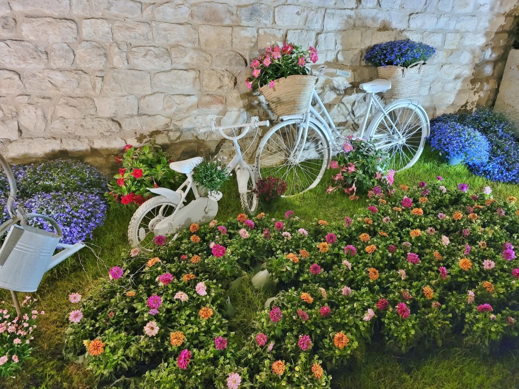 Foto: Tiempo de flores 2023 - Girona (Cataluña), España