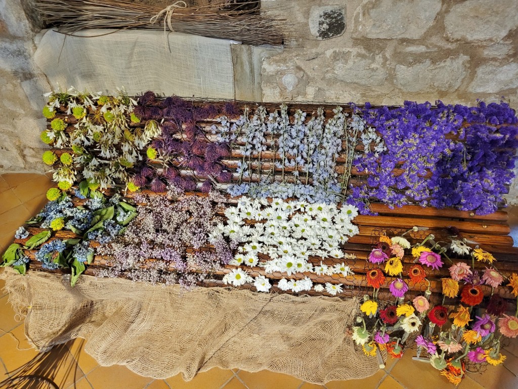 Foto: Tiempo de flores 2023 - Girona (Cataluña), España