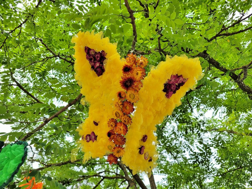 Foto: Tiempo de flores 2023 - Girona (Cataluña), España