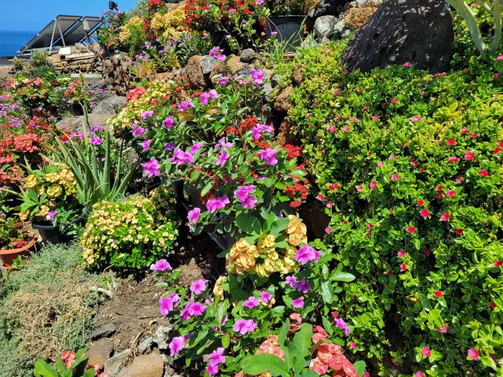 Foto: Puerto - Puntagorda (La Palma) (Santa Cruz de Tenerife), España