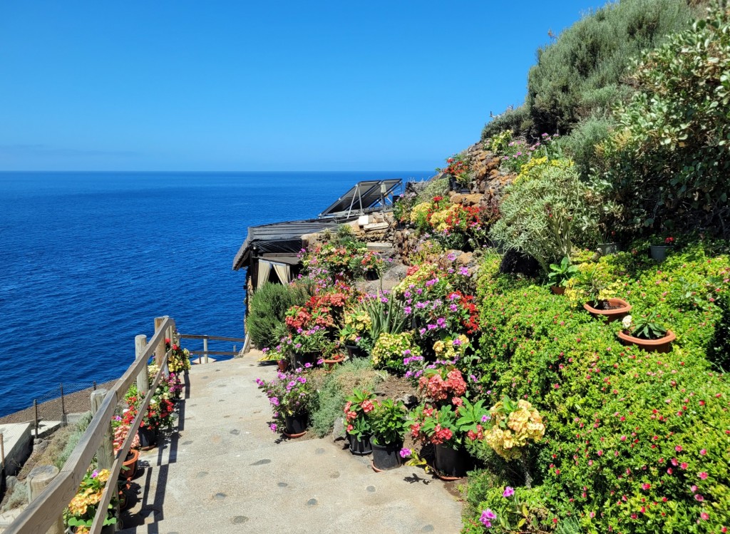 Foto: Puerto - Puntagorda (La Palma) (Santa Cruz de Tenerife), España