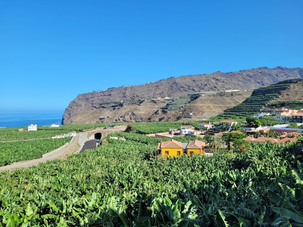 Foto: Plantación - Tazacorte (La Palma) (Santa Cruz de Tenerife), España