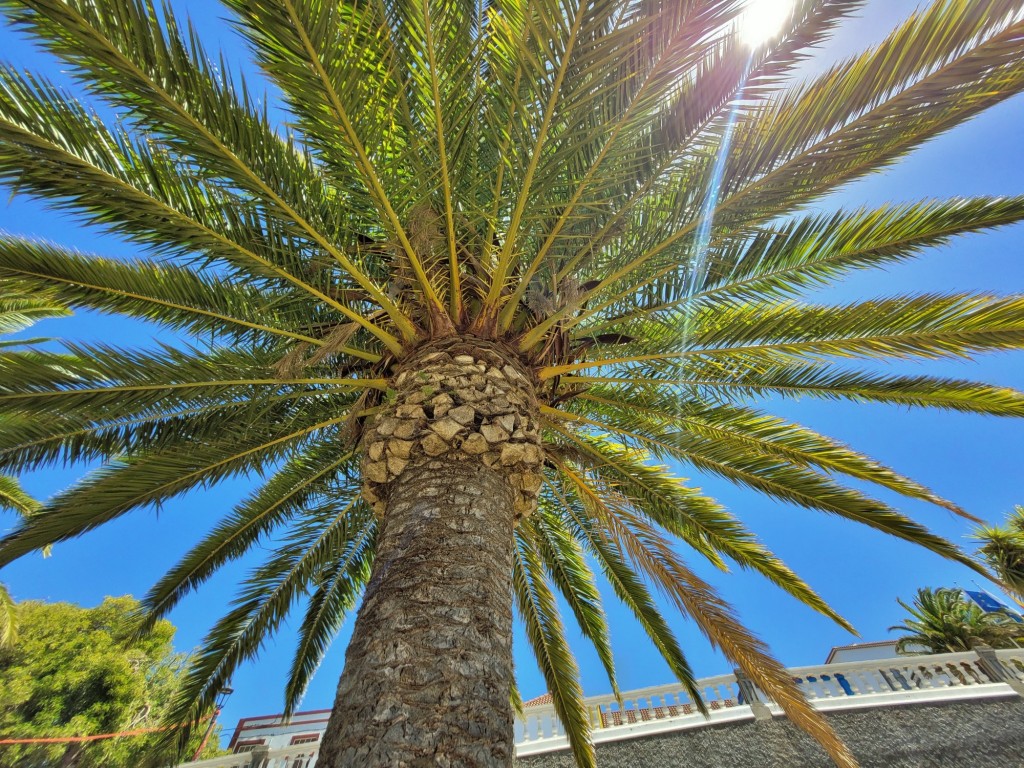 Foto: Vista de la Villa - Villa de Garafía (La Palma) (Santa Cruz de Tenerife), España