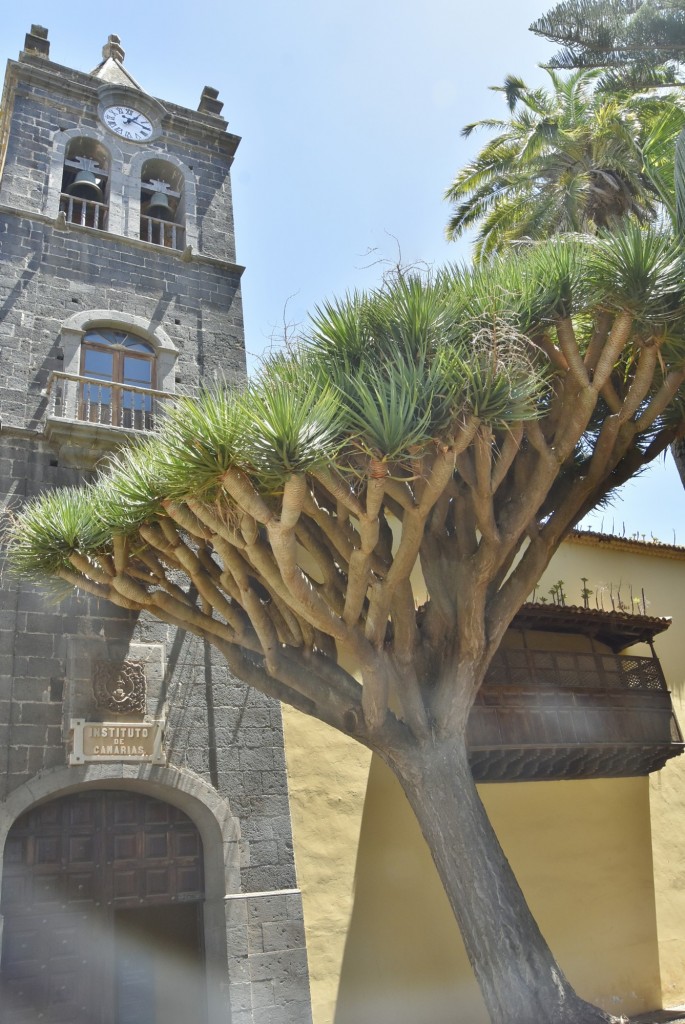 Foto: Centro histórico - San Cristóbal de La Laguna (Santa Cruz de Tenerife), España