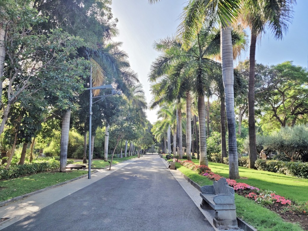 Foto: Parque García Sanabria - Santa Cruz de Tenerife (Canarias), España