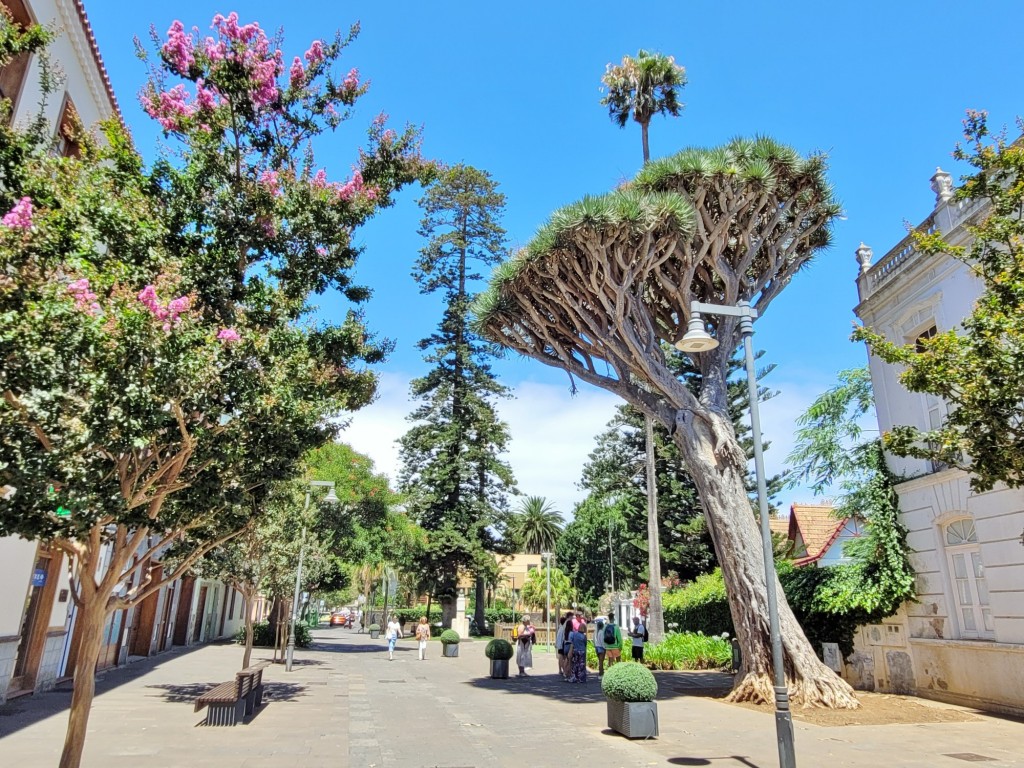 Foto: Centro histórico - San Cristóbal de La Laguna (Santa Cruz de Tenerife), España