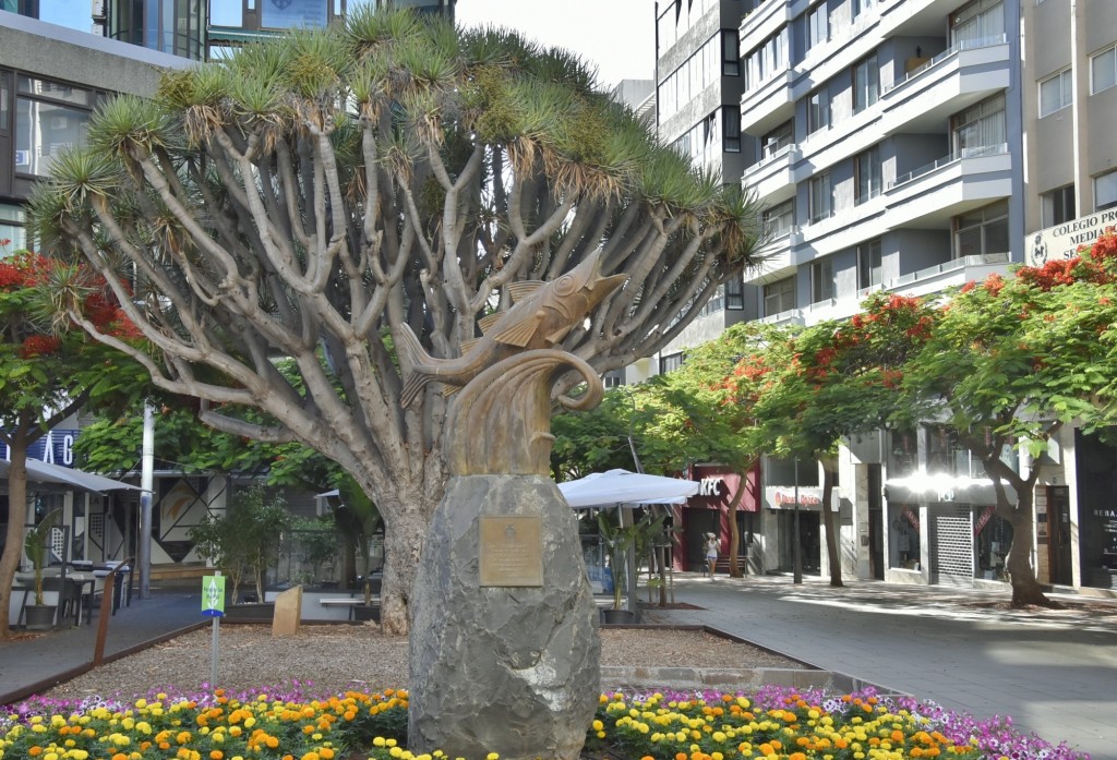 Foto: Vista de la ciudad - Santa Cruz de Tenerife (Canarias), España