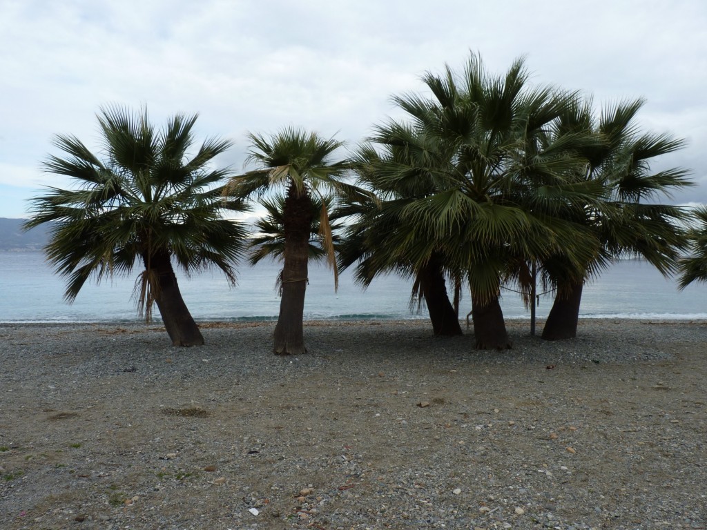 Foto: Lungomare Falcomatà - Reggio Calabria (Calabria), Italia