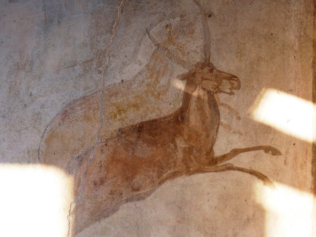 Foto: Ruinas de Pompeya - Pompeya, Nápoles (Campania), Italia