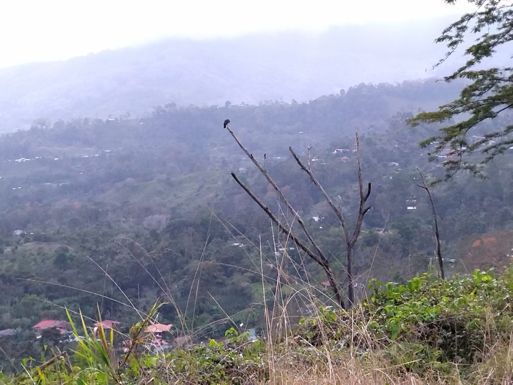 Foto de Turrialba (Cartago), Costa Rica