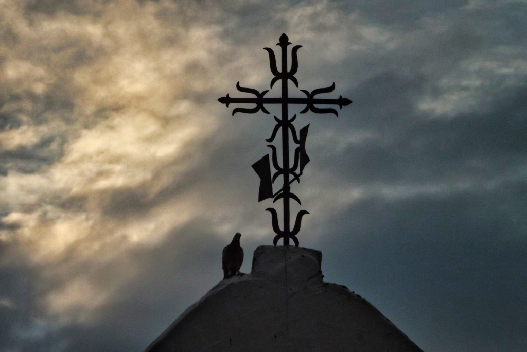 Foto: Avistamiento de aves en Santander - Santander Aves (Santander), Colombia