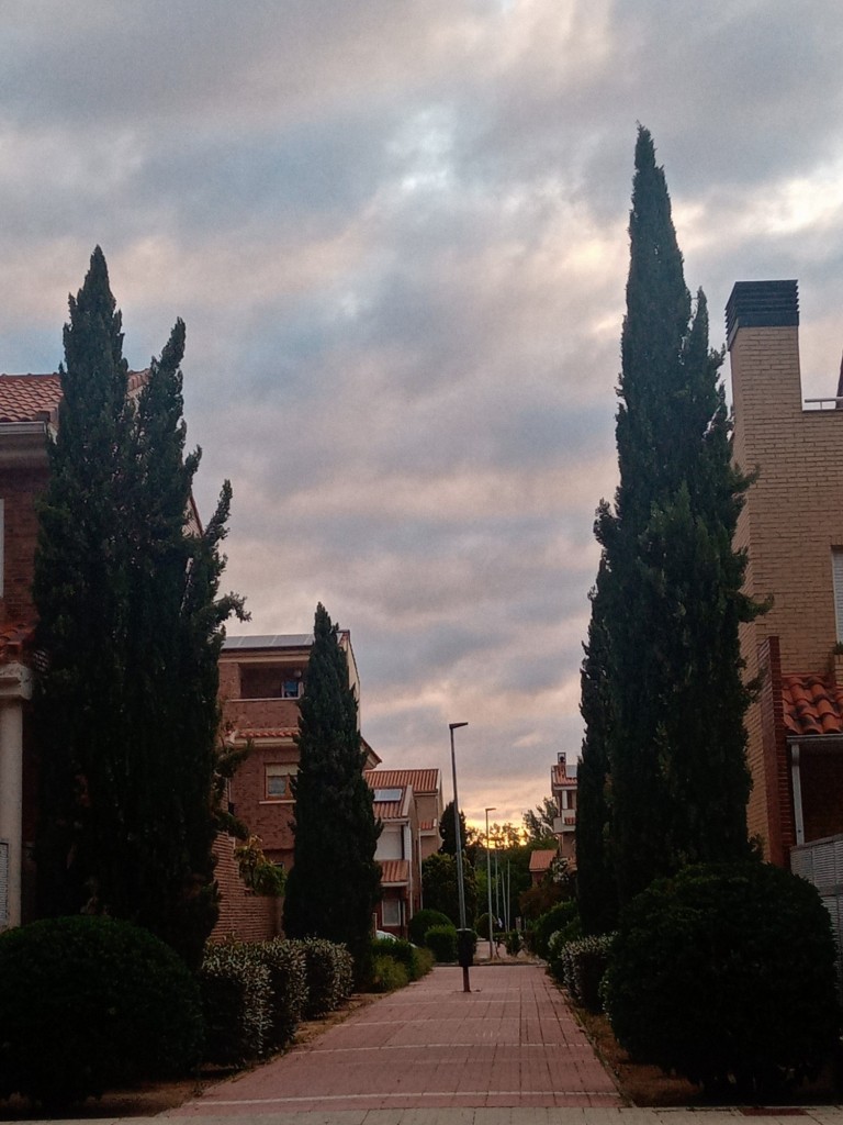 Foto: Urbanización Margarita - Calatayud (Zaragoza), España