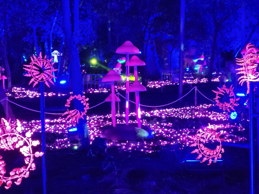 Foto: Luces en los jardines de Torre Girona - Barcelona (Cataluña), España