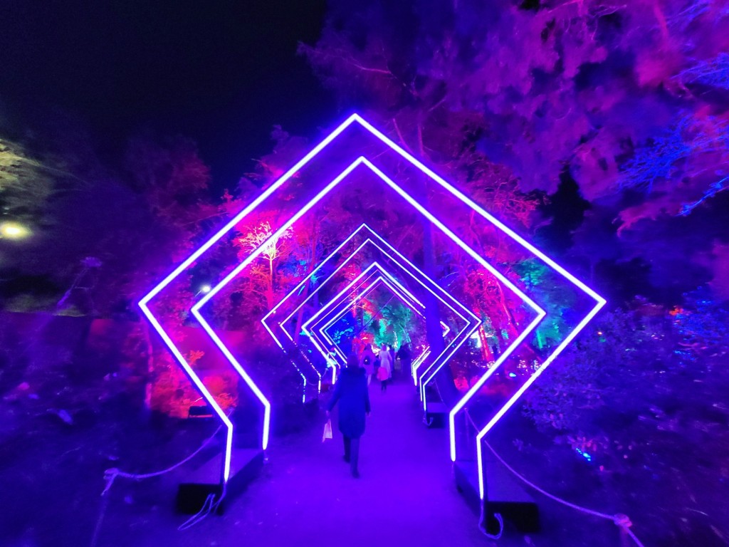 Foto: Luces en los jardines de Torre Girona - Barcelona (Cataluña), España