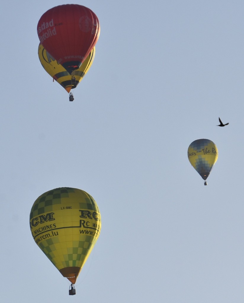 Foto: Concurso de globos 2023 - Igualada (Barcelona), España