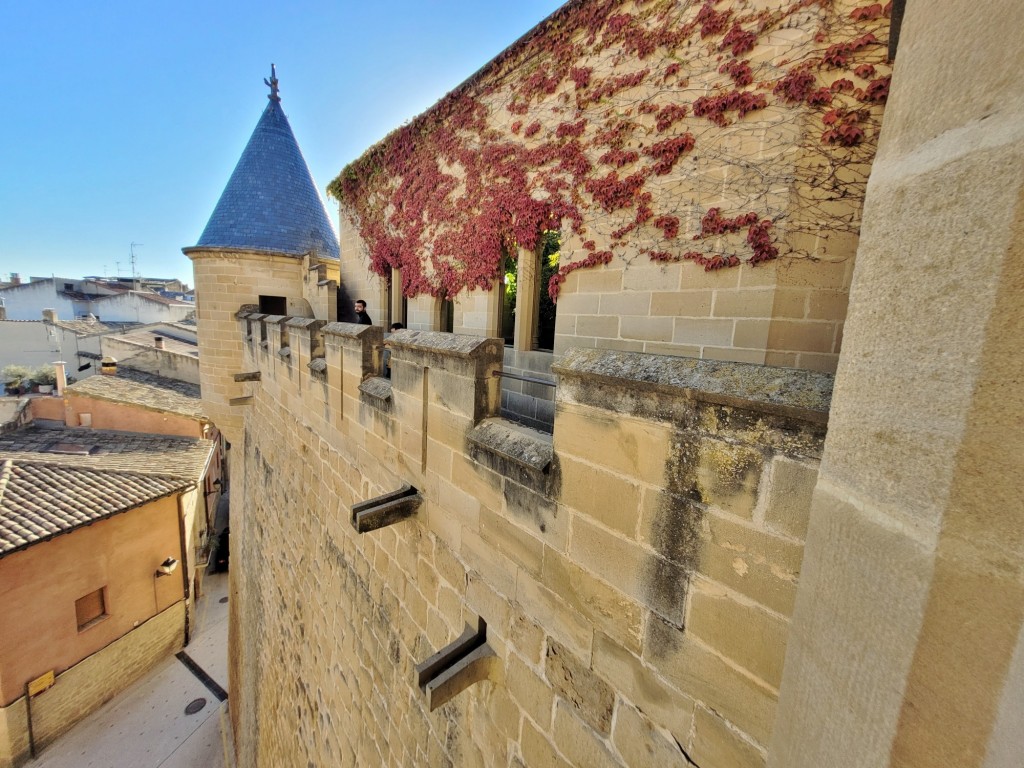 Foto: Palacio Real - Olite (Navarra), España