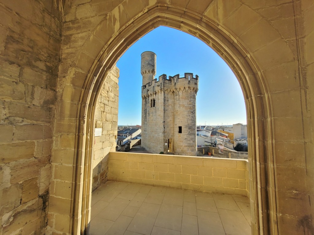 Foto: Palacio Real - Olite (Navarra), España