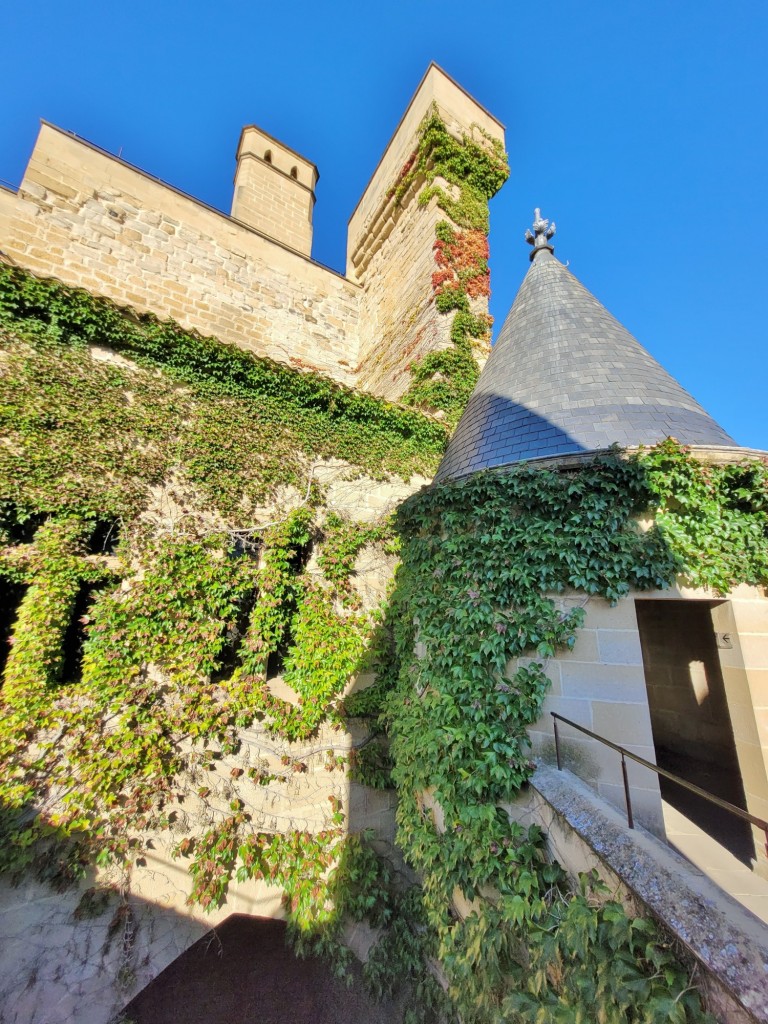 Foto: Palacio Real - Olite (Navarra), España