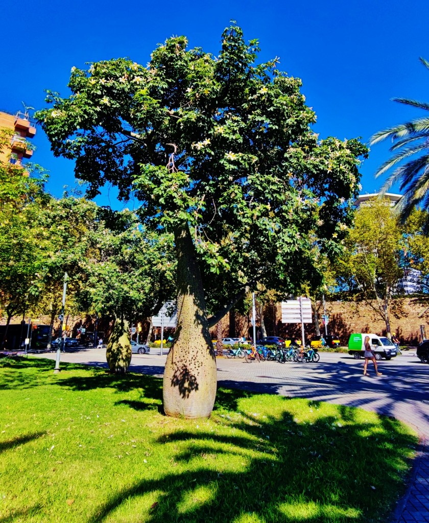 Foto: Jardins de Walter Benjamin - Barcelona (Cataluña), España