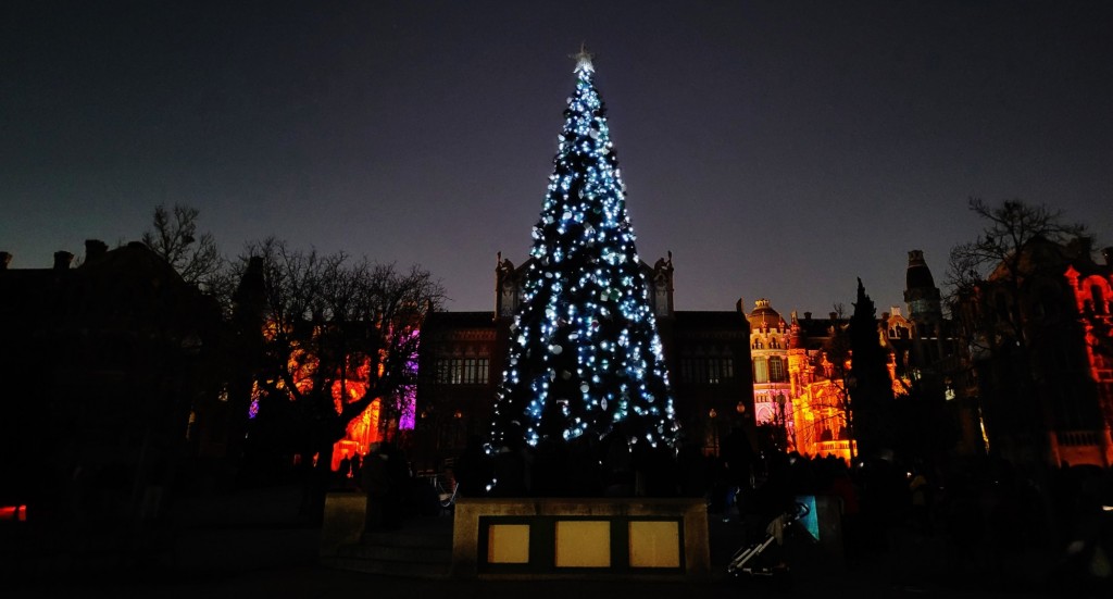 Foto: Luces en Sant Pau - Barcelona (Cataluña), España