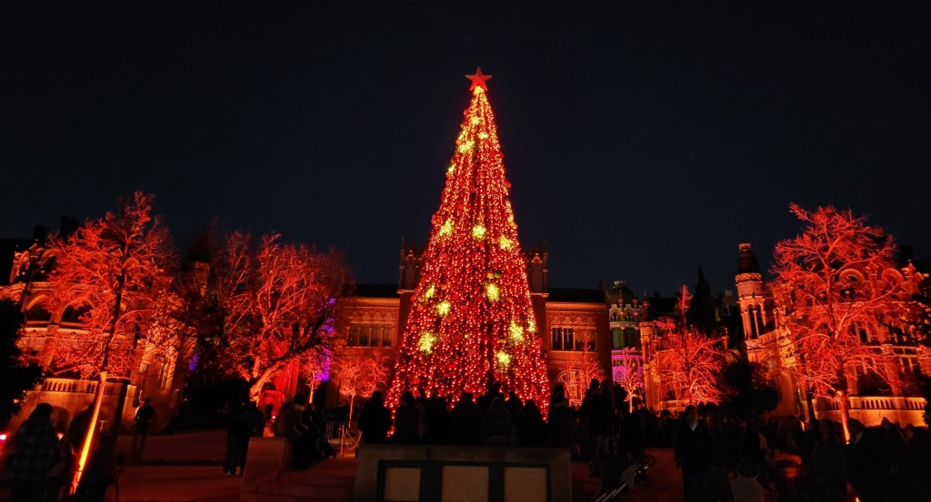 Foto: Luces en Sant Pau - Barcelona (Cataluña), España