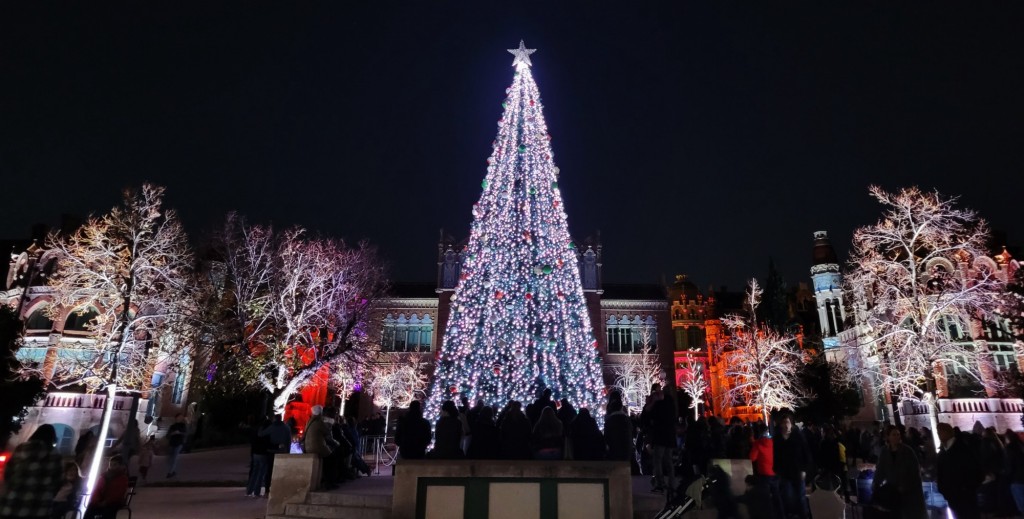 Foto: Luces en Sant Pau - Barcelona (Cataluña), España