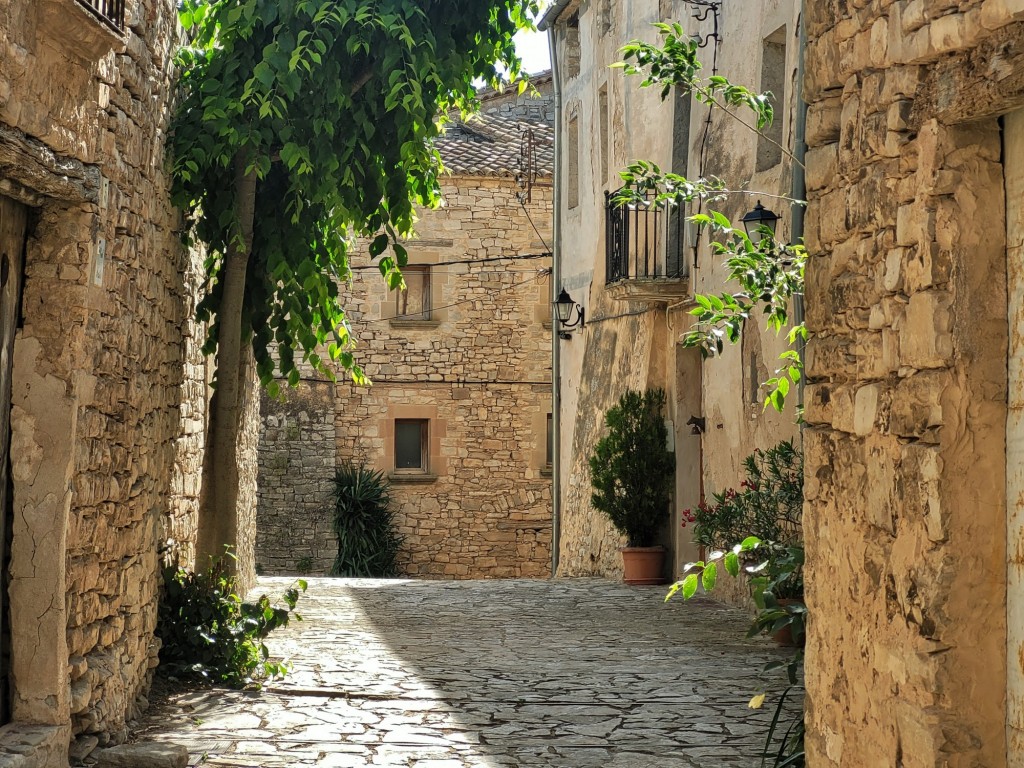 Foto: Recinto amurallado - Montfalcó Murallat (Lleida), España