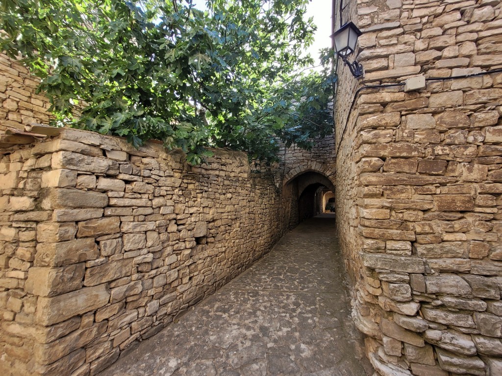 Foto: Recinto amurallado - Montfalcó Murallat (Lleida), España