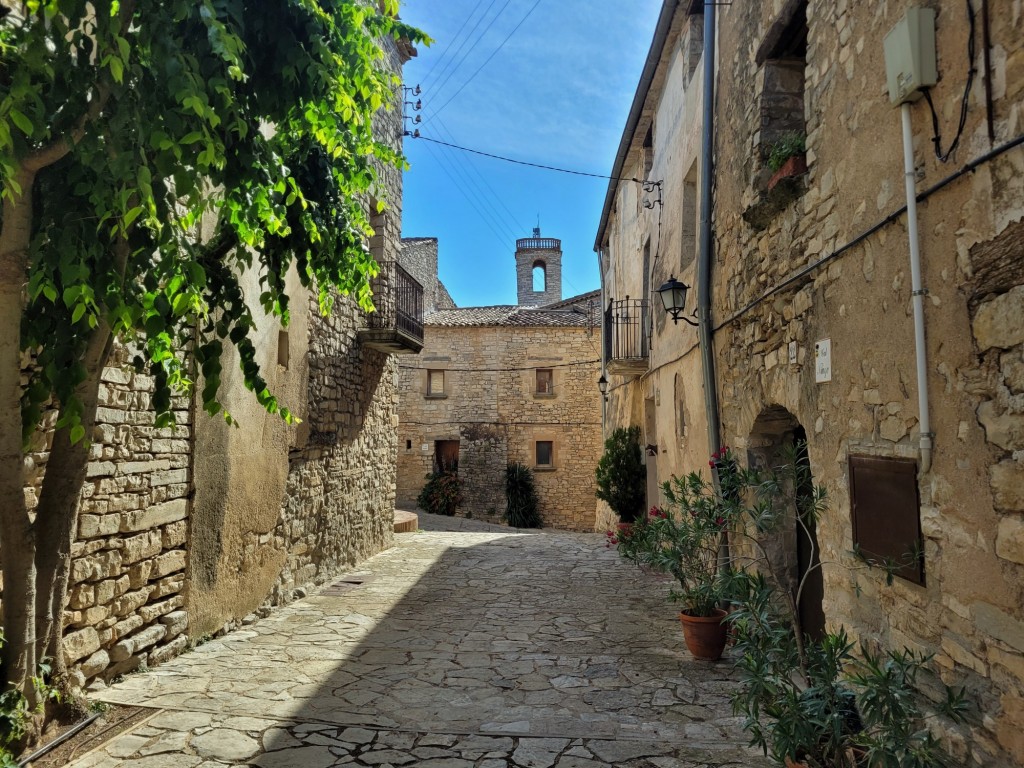 Foto: Recinto amurallado - Montfalcó Murallat (Lleida), España