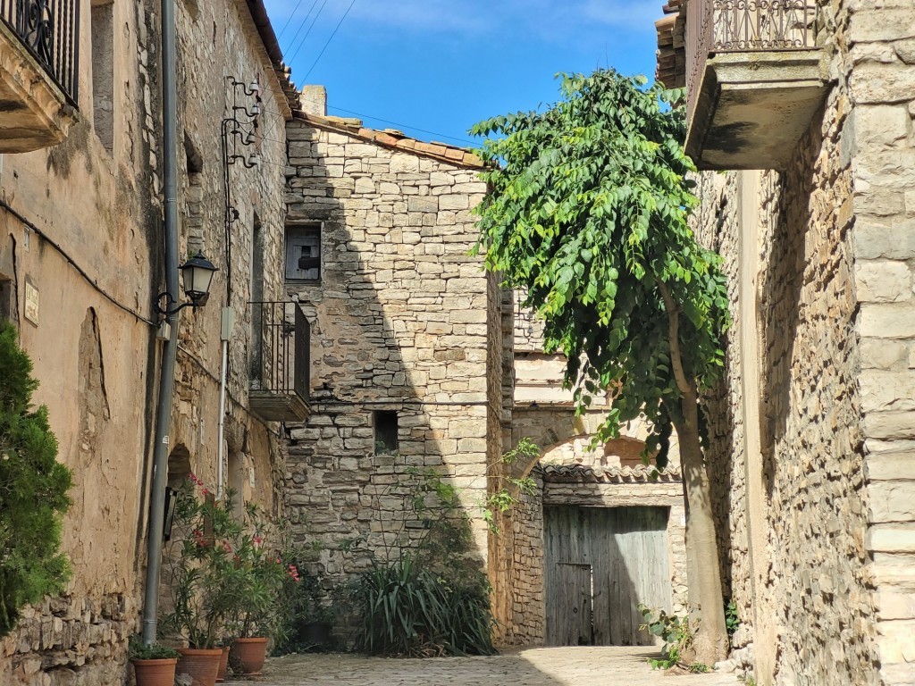 Foto: Recinto amurallado - Montfalcó Murallat (Lleida), España