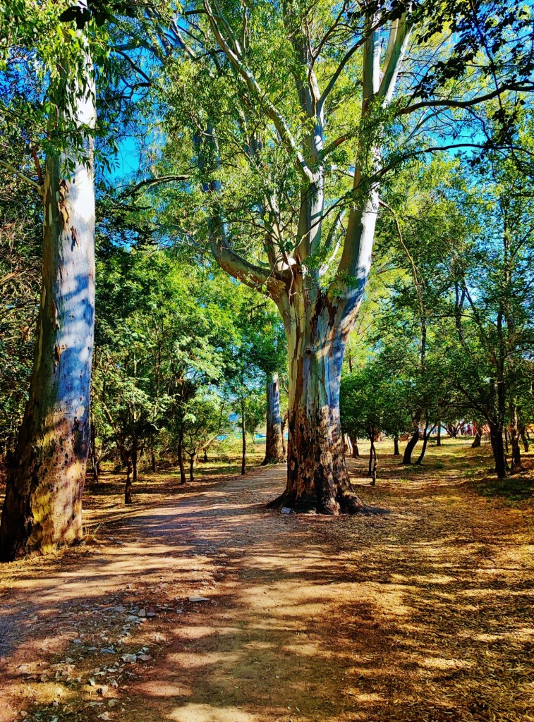 Foto: Parku Kombëtar I Butrintit - Butrinti (Vlorë), Albania