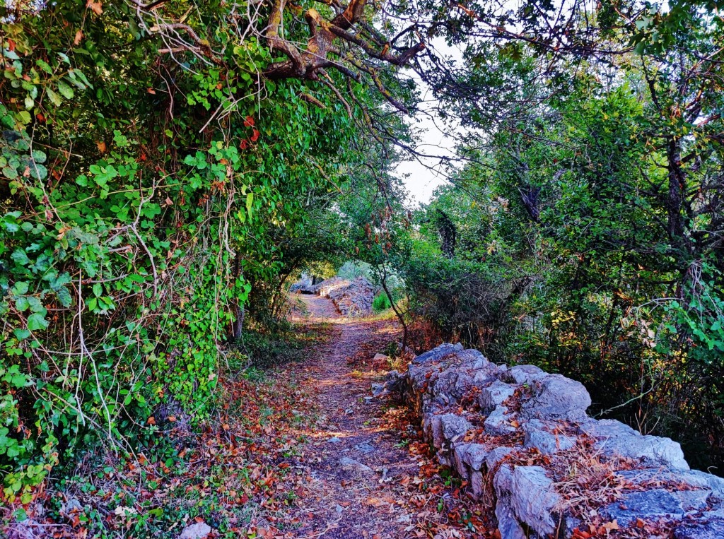 Foto: Parku Kombëtar I Butrintit - Butrinti (Vlorë), Albania