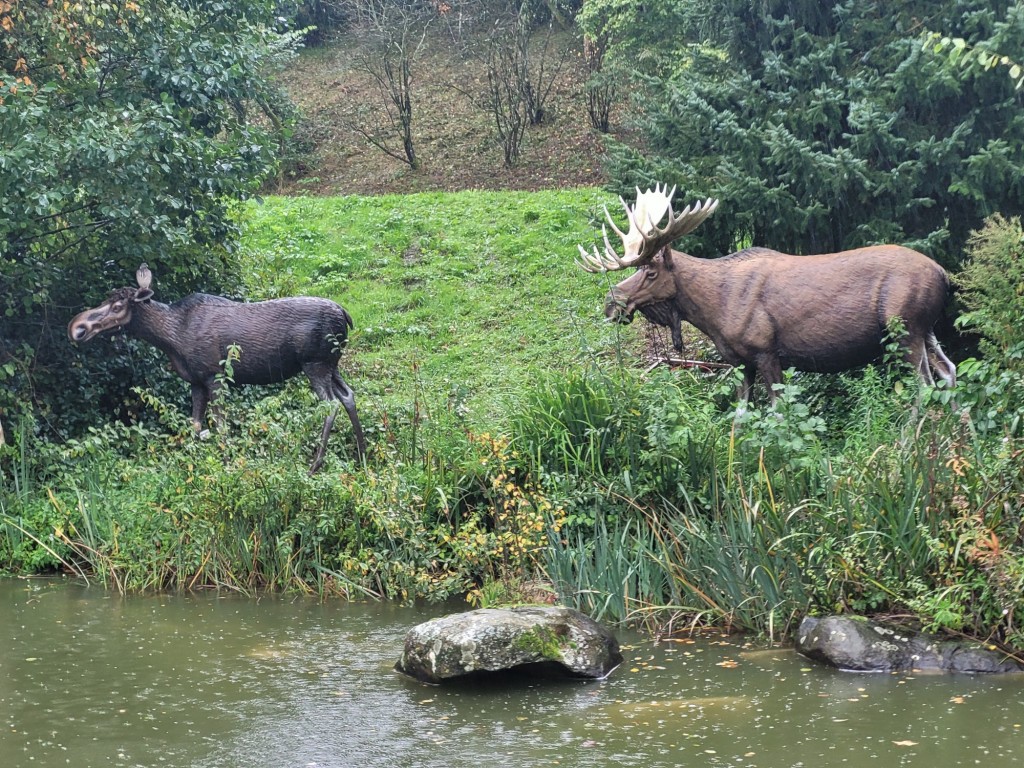 Foto: Disneyland París - Marne-la-Vallée (Île-de-France), Francia