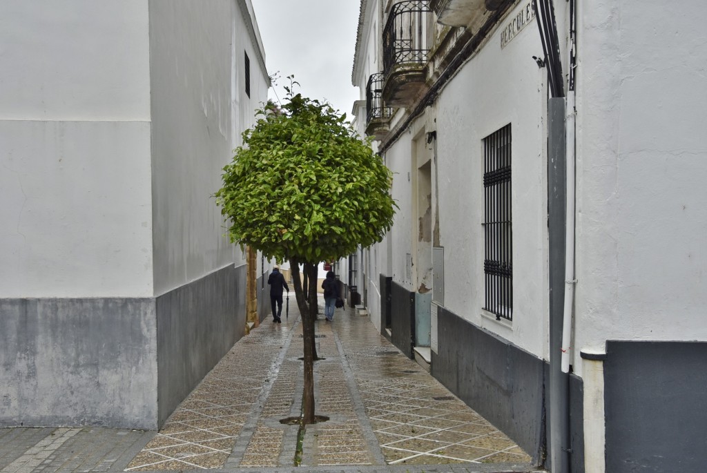 Foto: Centro histórico - Medina Sidonia (Cádiz), España