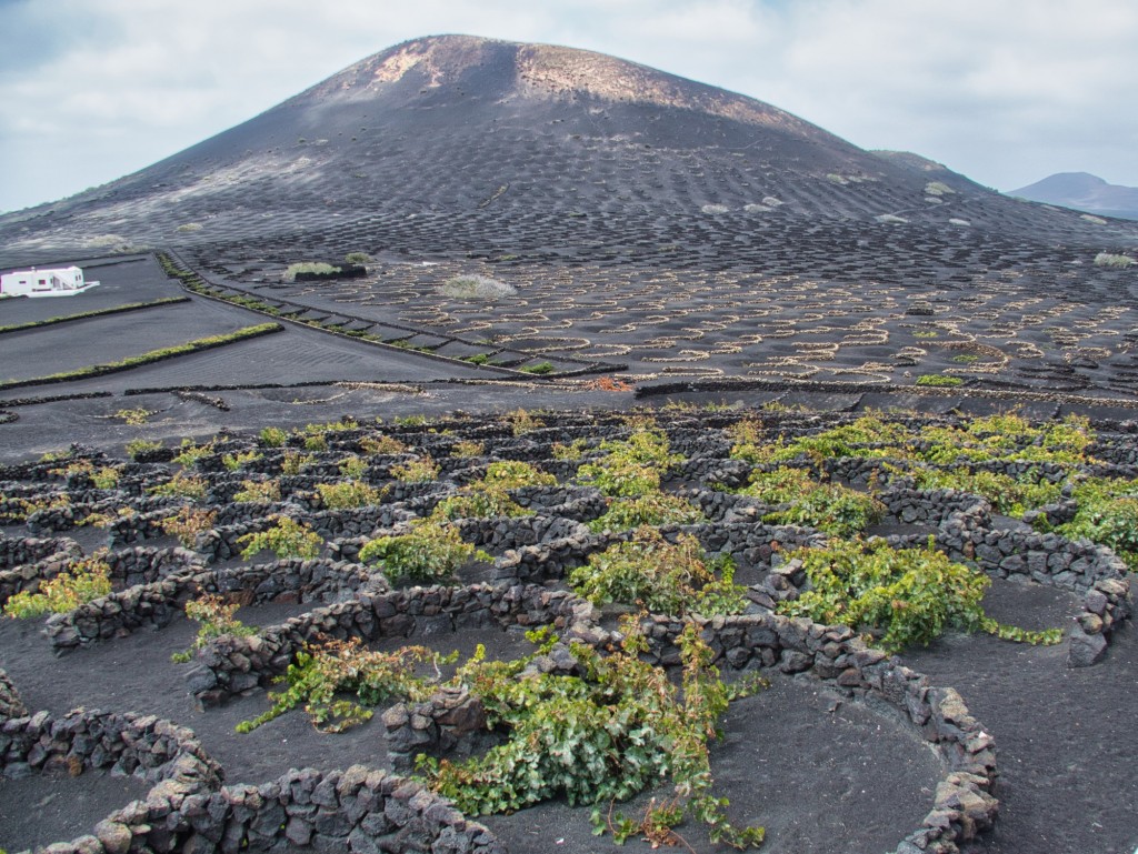 Foto de Lanzarote (Santa Cruz de Tenerife), España