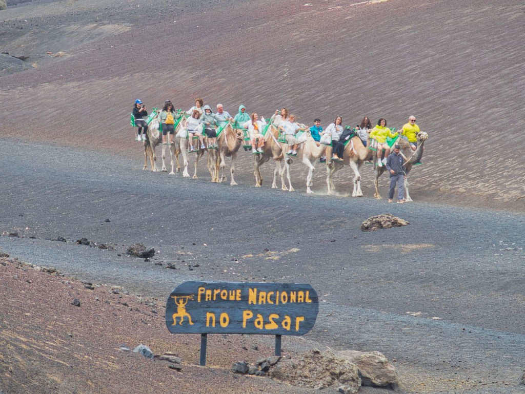 Foto de Lanzarote (Santa Cruz de Tenerife), España